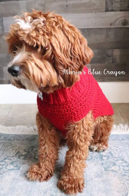 crochet dog sweater pattern