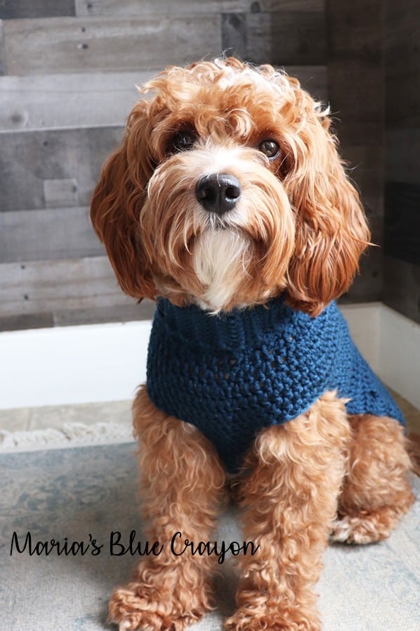 How to Crochet a Dog Cable Sweater - Maria's Blue Crayon