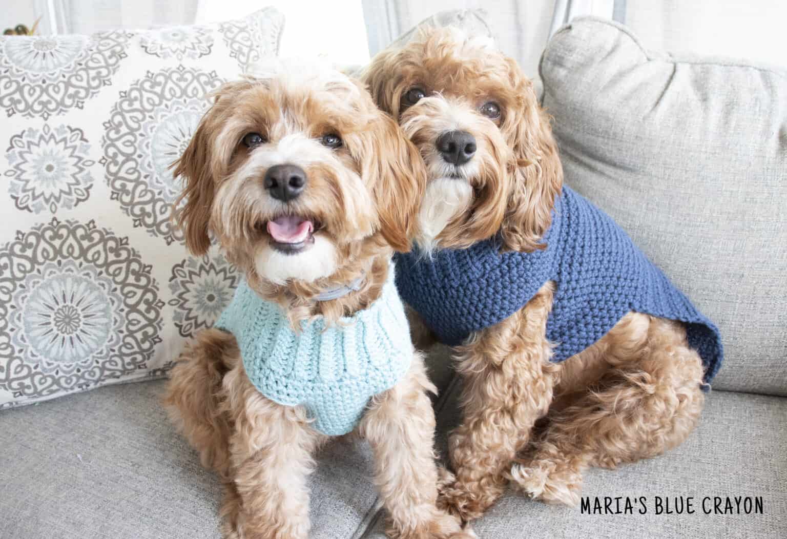 Crochet Dog Sweater Free Pattern - Maria's Blue Crayon