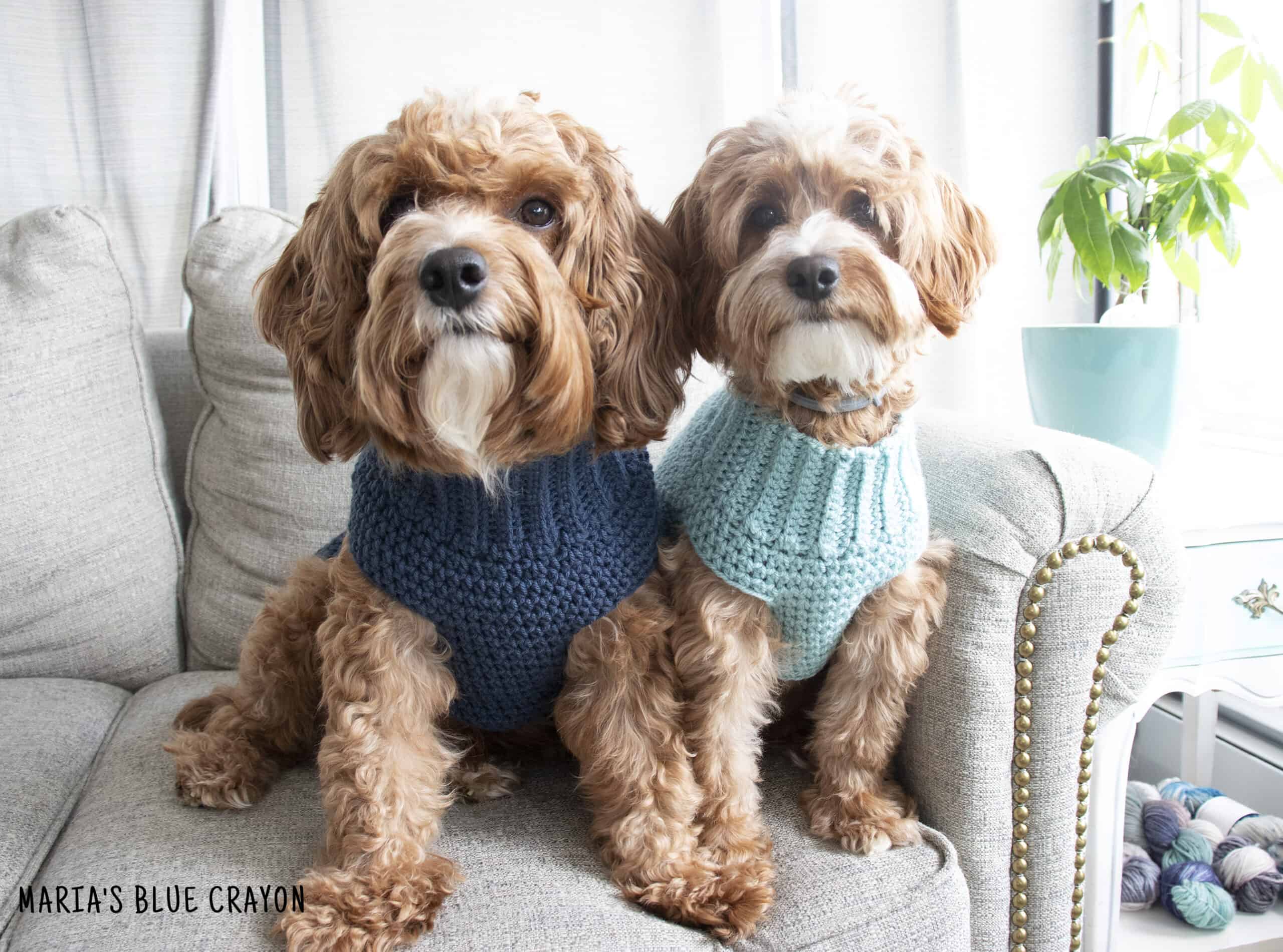 Bernat Crochet Dog Coat Sales Discounts 