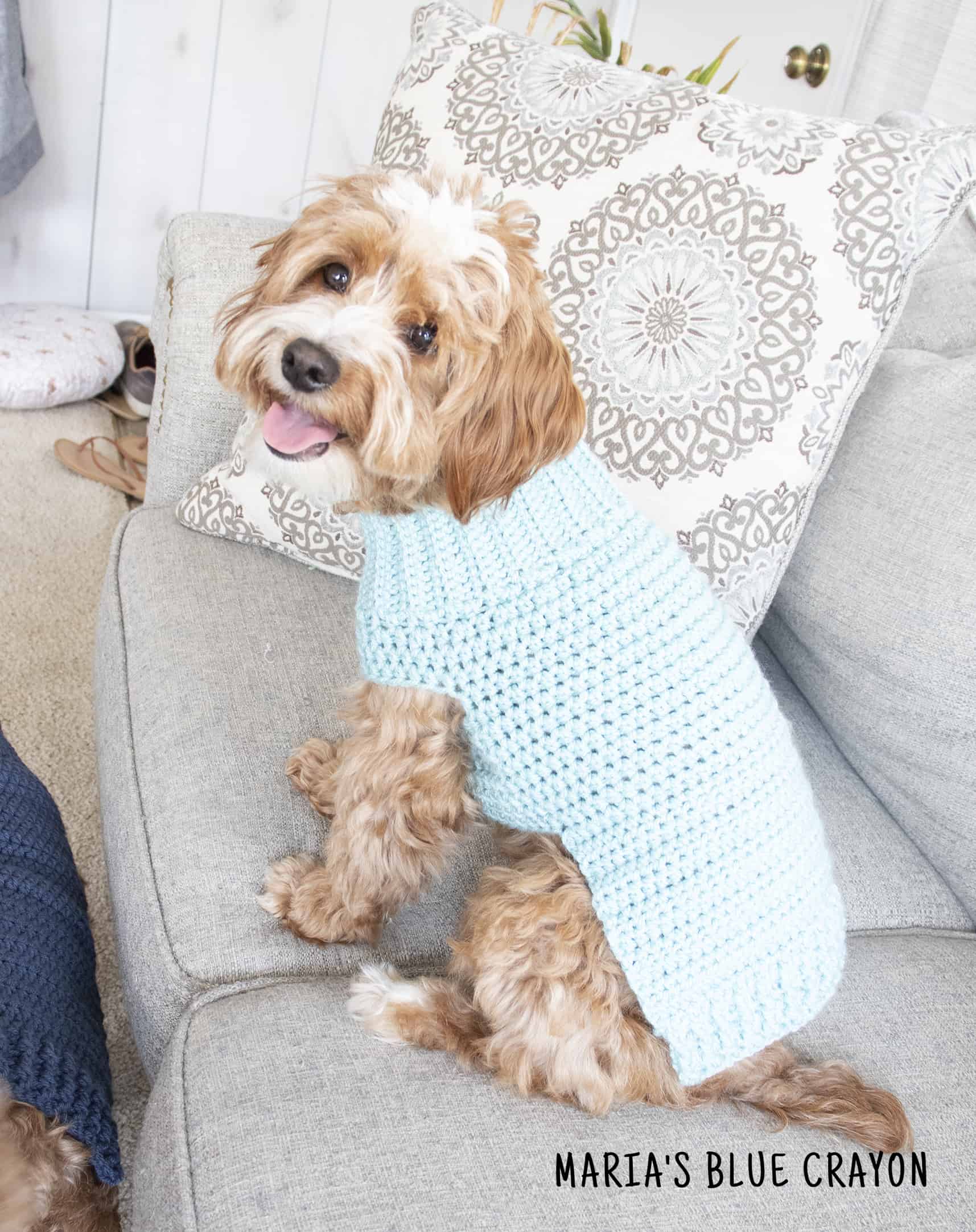 Crochet Dog Sweater Free Pattern Maria s Blue Crayon